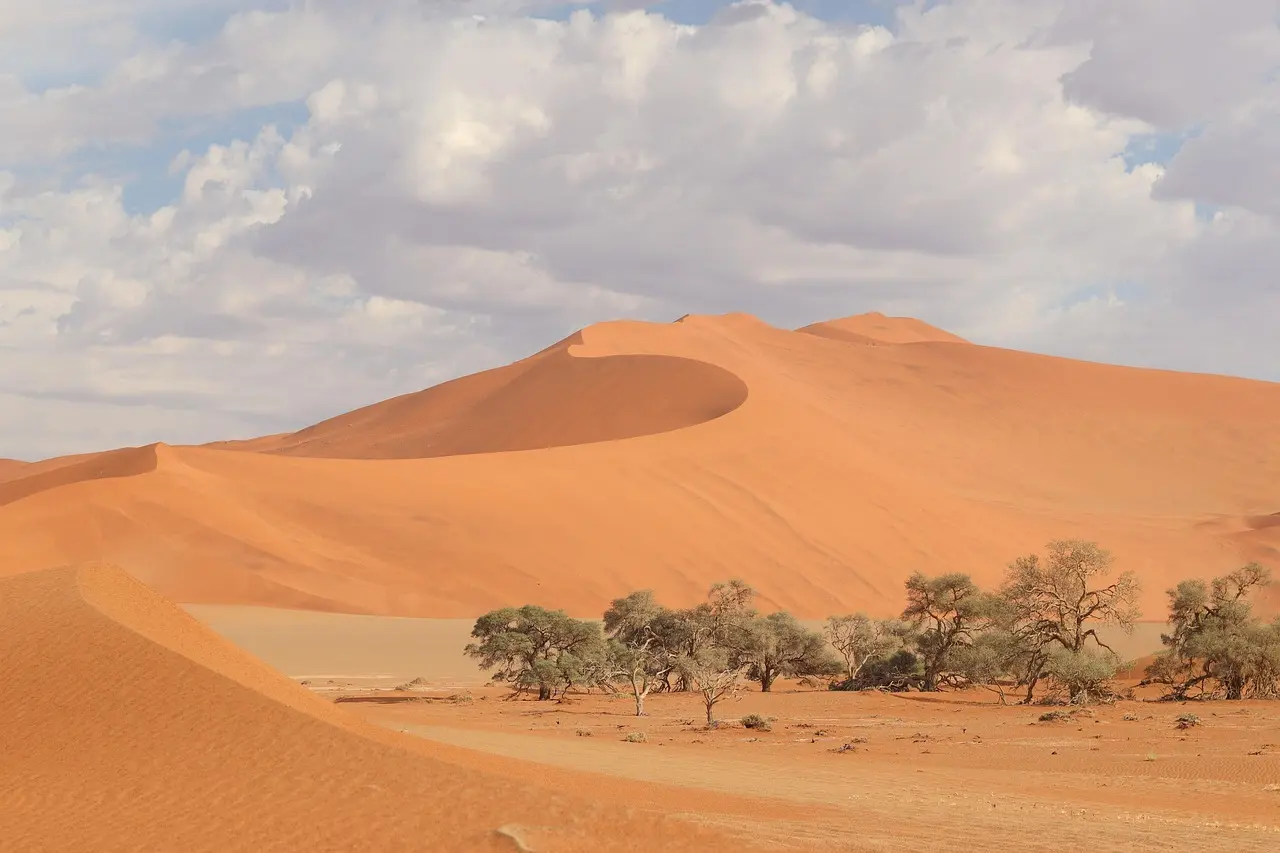 Hvordan er vejret i Gran Canaria i uge 31?