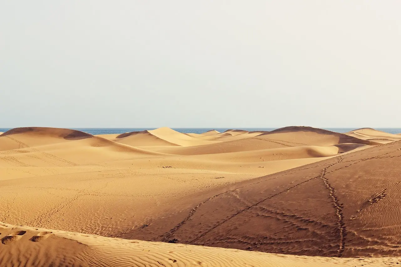 Hvordan er vejret i Gran Canaria i august?
