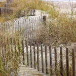 Hvordan er vejret i Gran Canaria i uge 29?