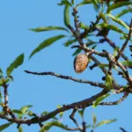 Hvordan er vejret i Gran Canaria i september?