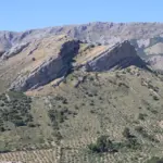 Medvirkende i Kvinden Der Forsvandt