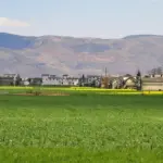 Spansk Forfatter i Krydsord