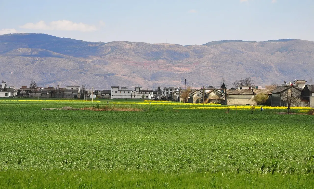 Spansk Maler i Krydsord svar